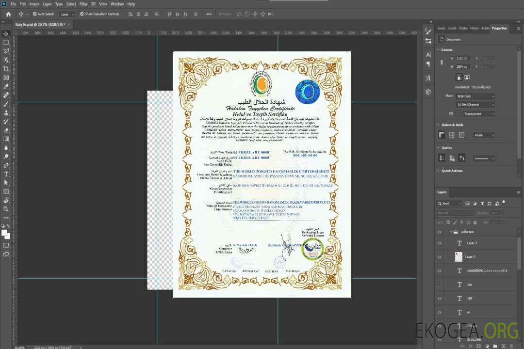 Échantillon PSD du certificat Halalen Tayyiben de Turquie template Échantillon PSD du certificat Halalen Tayyiben de Turquie template